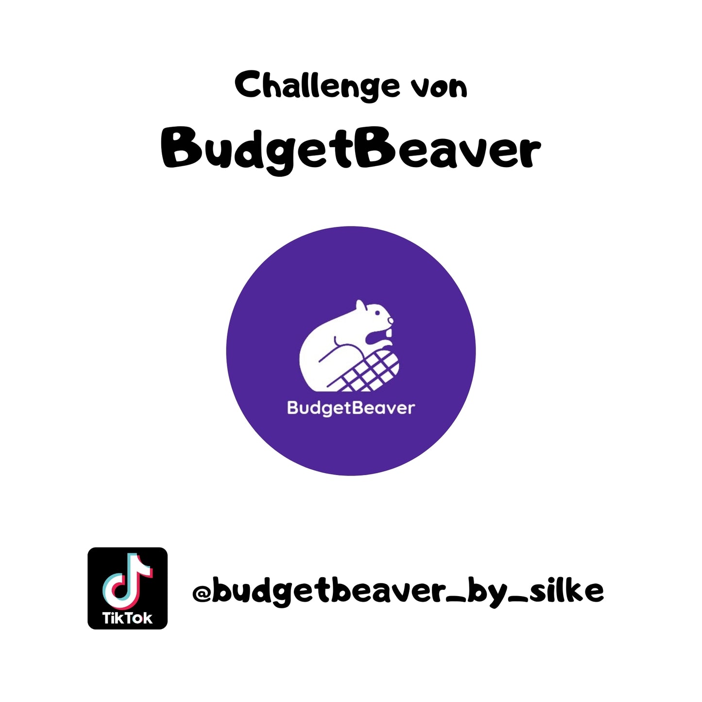 BudgetBeaver 🦫 -Mini Sparsaurier Challenge-